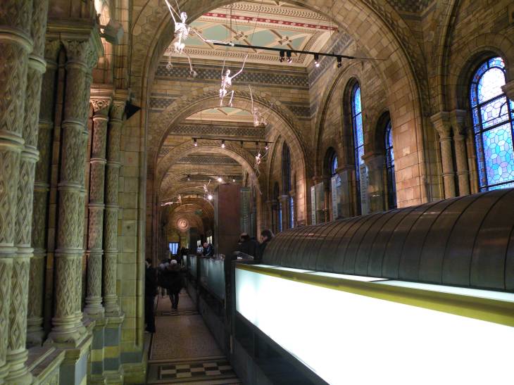  galerie latérale supérieure du museum
